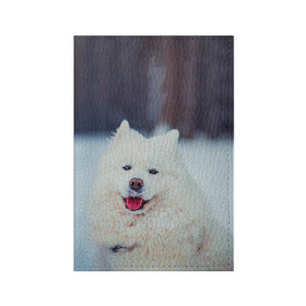 Обложка для паспорта матовая кожа с принтом САМОЕД в Санкт-Петербурге, натуральная матовая кожа | размер 19,3 х 13,7 см; прозрачные пластиковые крепления | animals | dog | winter | домашние | друг | животные | звери | зима | лайка | пес | песель | природа | пушистый | самоед | собаки | собачка | хаски