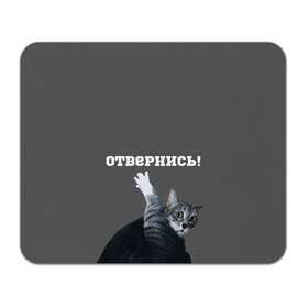 Коврик для мышки прямоугольный с принтом Отвернись! в Санкт-Петербурге, натуральный каучук | размер 230 х 185 мм; запечатка лицевой стороны | cat | кот | смущение