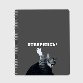 Тетрадь с принтом Отвернись! в Санкт-Петербурге, 100% бумага | 48 листов, плотность листов — 60 г/м2, плотность картонной обложки — 250 г/м2. Листы скреплены сбоку удобной пружинной спиралью. Уголки страниц и обложки скругленные. Цвет линий — светло-серый
 | cat | кот | смущение