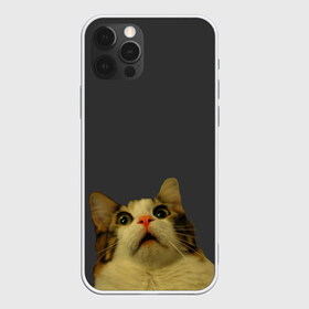 Чехол для iPhone 12 Pro Max с принтом Коте смотрит вверх в Санкт-Петербурге, Силикон |  | cat | up | вверх | кот | подглядывание | удивление