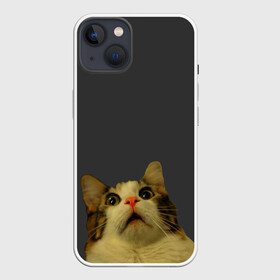 Чехол для iPhone 13 с принтом Коте смотрит вверх в Санкт-Петербурге,  |  | cat | up | вверх | кот | подглядывание | удивление