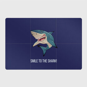 Магнитный плакат 3Х2 с принтом Улыбнись акуле в Санкт-Петербурге, Полимерный материал с магнитным слоем | 6 деталей размером 9*9 см | акула | акулий оскал | зубастая улыбка. | позитив | улыбка акулы | хищники