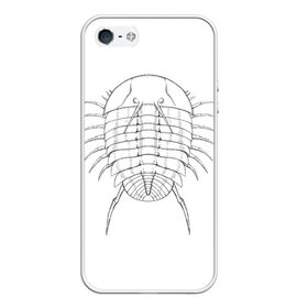 Чехол для iPhone 5/5S матовый с принтом трилобит агрессивный в Санкт-Петербурге, Силикон | Область печати: задняя сторона чехла, без боковых панелей | агрессия | доисторические животные | жуткие животные | насекомые | палеонтология | трилобиты