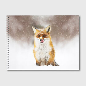 Альбом для рисования с принтом Лиса в Санкт-Петербурге, 100% бумага
 | матовая бумага, плотность 200 мг. | animal | fox | foxy | snow | winter | животное | животные | звери | зверь | зима | лиса | лисица | мороз | рыжая | снег | снежинка