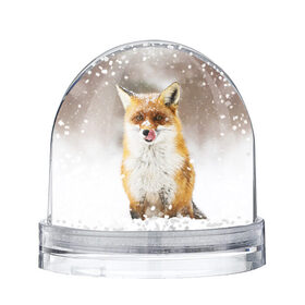 Снежный шар с принтом Лиса в Санкт-Петербурге, Пластик | Изображение внутри шара печатается на глянцевой фотобумаге с двух сторон | animal | fox | foxy | snow | winter | животное | животные | звери | зверь | зима | лиса | лисица | мороз | рыжая | снег | снежинка
