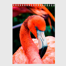 Скетчбук с принтом Фламинго в Санкт-Петербурге, 100% бумага
 | 48 листов, плотность листов — 100 г/м2, плотность картонной обложки — 250 г/м2. Листы скреплены сверху удобной пружинной спиралью | животные | звири | природа | птица | розовый | фламинго