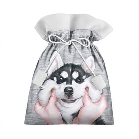Подарочный 3D мешок с принтом Хаски в Санкт-Петербурге, 100% полиэстер | Размер: 29*39 см | Тематика изображения на принте: гладить собаку | животные | пёс | пёсики | серый фон | сибирский хаски | собаки | хаски