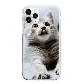 Чехол для iPhone 11 Pro матовый с принтом серый котенок в Санкт-Петербурге, Силикон |  | Тематика изображения на принте: grey kitten | kitten | котенок | милый котенок | серый котенок