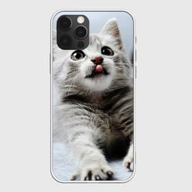 Чехол для iPhone 12 Pro Max с принтом серый котенок в Санкт-Петербурге, Силикон |  | Тематика изображения на принте: grey kitten | kitten | котенок | милый котенок | серый котенок