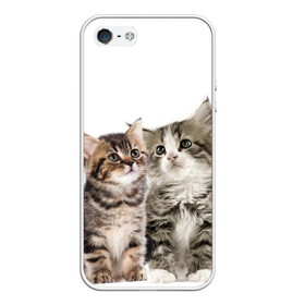 Чехол для iPhone 5/5S матовый с принтом котята в Санкт-Петербурге, Силикон | Область печати: задняя сторона чехла, без боковых панелей | cute kittens | kittens | котята | красивые котята | милые котята
