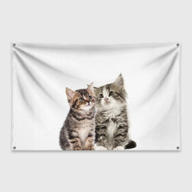 Флаг-баннер с принтом котята в Санкт-Петербурге, 100% полиэстер | размер 67 х 109 см, плотность ткани — 95 г/м2; по краям флага есть четыре люверса для крепления | cute kittens | kittens | котята | красивые котята | милые котята