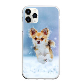Чехол для iPhone 11 Pro матовый с принтом Чихуахуа в снегу в Санкт-Петербурге, Силикон |  | Тематика изображения на принте: dog | животные | зима | пес | природа | снег | собака | собаки | собакчка | собачки | чихуа хуа | чихуахуа