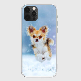 Чехол для iPhone 12 Pro Max с принтом Чихуахуа в снегу в Санкт-Петербурге, Силикон |  | Тематика изображения на принте: dog | животные | зима | пес | природа | снег | собака | собаки | собакчка | собачки | чихуа хуа | чихуахуа