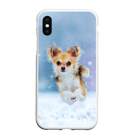 Чехол для iPhone XS Max матовый с принтом Чихуахуа в снегу в Санкт-Петербурге, Силикон | Область печати: задняя сторона чехла, без боковых панелей | Тематика изображения на принте: dog | животные | зима | пес | природа | снег | собака | собаки | собакчка | собачки | чихуа хуа | чихуахуа