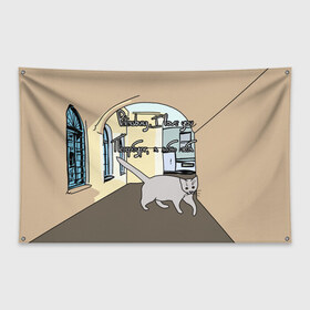 Флаг-баннер с принтом Петербургский кот в Санкт-Петербурге, 100% полиэстер | размер 67 х 109 см, плотность ткани — 95 г/м2; по краям флага есть четыре люверса для крепления | кот | кошки | петербург | питерские дворы | романтика | санкт петербург | я люблю тебя