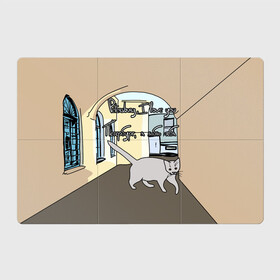 Магнитный плакат 3Х2 с принтом Петербургский кот в Санкт-Петербурге, Полимерный материал с магнитным слоем | 6 деталей размером 9*9 см | Тематика изображения на принте: кот | кошки | петербург | питерские дворы | романтика | санкт петербург | я люблю тебя