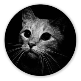 Коврик для мышки круглый с принтом Чёрный кот в Санкт-Петербурге, резина и полиэстер | круглая форма, изображение наносится на всю лицевую часть | Тематика изображения на принте: животное | кот | кошка | тёмный рисунок | чёрный фон