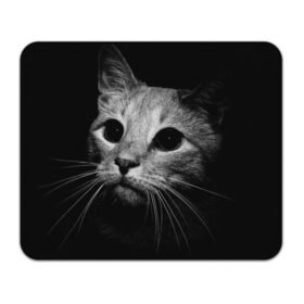 Коврик для мышки прямоугольный с принтом Чёрный кот в Санкт-Петербурге, натуральный каучук | размер 230 х 185 мм; запечатка лицевой стороны | Тематика изображения на принте: животное | кот | кошка | тёмный рисунок | чёрный фон