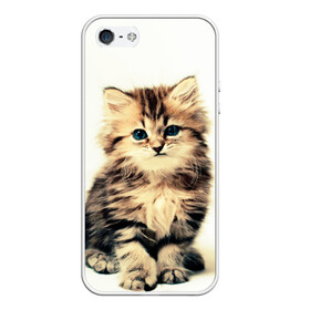 Чехол для iPhone 5/5S матовый с принтом котёнок в Санкт-Петербурге, Силикон | Область печати: задняя сторона чехла, без боковых панелей | cute kitten | kitten | котёнок | красивый котёнок | милый котёнок