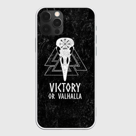 Чехол для iPhone 12 Pro Max с принтом Victory or Valhalla в Санкт-Петербурге, Силикон |  | вальхалла | викинг | ворон | символ | скандинавия | череп | язычество