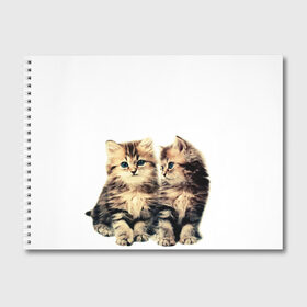 Альбом для рисования с принтом котята в Санкт-Петербурге, 100% бумага
 | матовая бумага, плотность 200 мг. | cute kittens | kittens | котята | красивые котята | милые котята