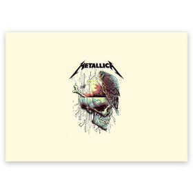 Поздравительная открытка с принтом Metallica в Санкт-Петербурге, 100% бумага | плотность бумаги 280 г/м2, матовая, на обратной стороне линовка и место для марки
 | Тематика изображения на принте: metal | metallica | rock | джеймс хэтфилд | классика | легенда | метал | металлика | популярное | рок | рокгруппа