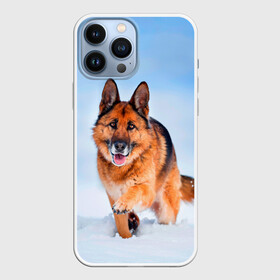 Чехол для iPhone 13 Pro Max с принтом Овчарка и снег в Санкт-Петербурге,  |  | Тематика изображения на принте: dog | животные | зима | овчарка | пес | природа | снег | собака | собаки | собакчка | собачки
