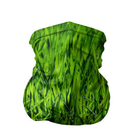 Бандана-труба 3D с принтом Трава в Санкт-Петербурге, 100% полиэстер, ткань с особыми свойствами — Activecool | плотность 150‒180 г/м2; хорошо тянется, но сохраняет форму | газон | зелень | луг | луга | поле | природа | природный | растение | растения