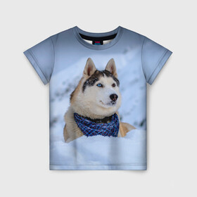 Детская футболка 3D с принтом Хаски в Санкт-Петербурге, 100% гипоаллергенный полиэфир | прямой крой, круглый вырез горловины, длина до линии бедер, чуть спущенное плечо, ткань немного тянется | Тематика изображения на принте: dog | животные | пес | природа | собака | собаки | собакчка | собачки | хаски