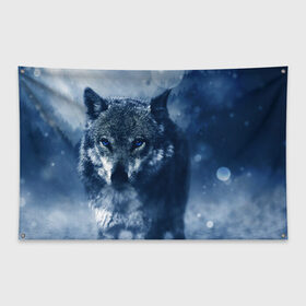Флаг-баннер с принтом Красивый волк в Санкт-Петербурге, 100% полиэстер | размер 67 х 109 см, плотность ткани — 95 г/м2; по краям флага есть четыре люверса для крепления | wolf | ауф | волк | волчонок | зима | синеглазый волк