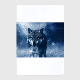 Магнитный плакат 2Х3 с принтом Красивый волк в Санкт-Петербурге, Полимерный материал с магнитным слоем | 6 деталей размером 9*9 см | wolf | ауф | волк | волчонок | зима | синеглазый волк