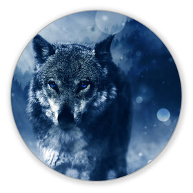 Коврик для мышки круглый с принтом Красивый волк в Санкт-Петербурге, резина и полиэстер | круглая форма, изображение наносится на всю лицевую часть | Тематика изображения на принте: wolf | ауф | волк | волчонок | зима | синеглазый волк