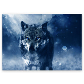 Поздравительная открытка с принтом Красивый волк в Санкт-Петербурге, 100% бумага | плотность бумаги 280 г/м2, матовая, на обратной стороне линовка и место для марки
 | wolf | ауф | волк | волчонок | зима | синеглазый волк