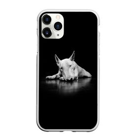 Чехол для iPhone 11 Pro матовый с принтом Puppy в Санкт-Петербурге, Силикон |  | bull terrier | dog | ears | eyes | muzzle | nose | paws | puppy | бультерьер | глаза | лапы | нос | уши | щенок