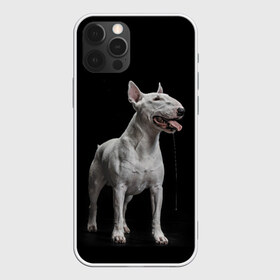 Чехол для iPhone 12 Pro Max с принтом Bully в Санкт-Петербурге, Силикон |  | bull terrier | dog | ears | eyes | fangs | jaw | muzzle | paws | saliva | tongue | бультерьер | глаза | клыки | лапы | нос | пасть | слюна | собака | уши | язык