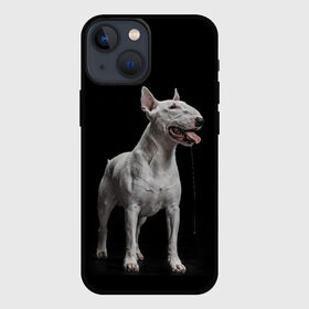 Чехол для iPhone 13 mini с принтом Bully в Санкт-Петербурге,  |  | Тематика изображения на принте: bull terrier | dog | ears | eyes | fangs | jaw | muzzle | paws | saliva | tongue | бультерьер | глаза | клыки | лапы | нос | пасть | слюна | собака | уши | язык
