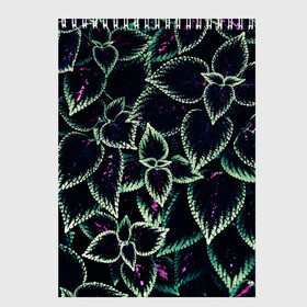 Скетчбук с принтом Зеленые кусты в Санкт-Петербурге, 100% бумага
 | 48 листов, плотность листов — 100 г/м2, плотность картонной обложки — 250 г/м2. Листы скреплены сверху удобной пружинной спиралью | зеленый | зелень | кусты | природа | растение | розовый | салатовый