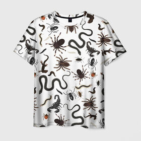 Мужская футболка 3D с принтом Жуткие насекомые в Санкт-Петербурге, 100% полиэфир | прямой крой, круглый вырез горловины, длина до линии бедер | Тематика изображения на принте: арт | белый | живность | животные | жук | жуткие насекомые | жуть | змея | клоп | набор насекомых | опарыш | паразит | паук | пиявка | рисунок | сколопендра | скорпион | таракан | фон | червь | ядовитый