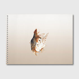 Альбом для рисования с принтом летящая сова рисунок в Санкт-Петербурге, 100% бумага
 | матовая бумага, плотность 200 мг. | акварель | акварельный | арт | брызги | градиент | животные | звери | краска | крылья | момент | полет | потеки | рисунок | скетч | сова | филин