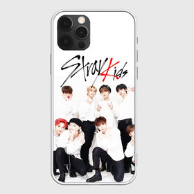 Чехол для iPhone 12 Pro Max с принтом STRAY KIDS в Санкт-Петербурге, Силикон |  | Тематика изображения на принте: bang chan | changbin | felix | han | hyunjin | i.n. | k pop | lee know | seungmin | skz | stray kids | идолы | к поп