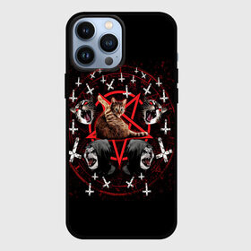 Чехол для iPhone 13 Pro Max с принтом Satanic Cat в Санкт-Петербурге,  |  | Тематика изображения на принте: satan | киска | кот | кот мем | кошечка | кошка | кошки и коты | лиса | лисы | мем | мемы | с кошкой | сатана