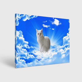 Холст прямоугольный с принтом Кот в облаках в Санкт-Петербурге, 100% ПВХ |  | animals | cat | kitty | ангел | белый кот | блики | взгляд кота | глаза кота | животные | киска | кот | котейка | котенок | котик | кошак | кошка | лучи | мордочка | небесный | небо | облака | пейзаж | питомец