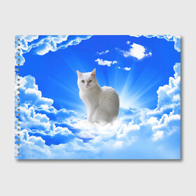 Альбом для рисования с принтом Кот в облаках в Санкт-Петербурге, 100% бумага
 | матовая бумага, плотность 200 мг. | animals | cat | kitty | ангел | белый кот | блики | взгляд кота | глаза кота | животные | киска | кот | котейка | котенок | котик | кошак | кошка | лучи | мордочка | небесный | небо | облака | пейзаж | питомец