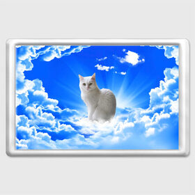 Магнит 45*70 с принтом Кот в облаках в Санкт-Петербурге, Пластик | Размер: 78*52 мм; Размер печати: 70*45 | animals | cat | kitty | ангел | белый кот | блики | взгляд кота | глаза кота | животные | киска | кот | котейка | котенок | котик | кошак | кошка | лучи | мордочка | небесный | небо | облака | пейзаж | питомец