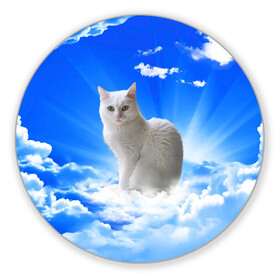Коврик для мышки круглый с принтом Кот в облаках в Санкт-Петербурге, резина и полиэстер | круглая форма, изображение наносится на всю лицевую часть | animals | cat | kitty | ангел | белый кот | блики | взгляд кота | глаза кота | животные | киска | кот | котейка | котенок | котик | кошак | кошка | лучи | мордочка | небесный | небо | облака | пейзаж | питомец