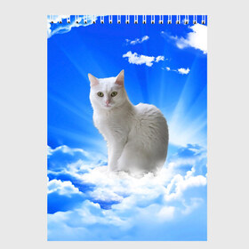 Скетчбук с принтом Кот в облаках в Санкт-Петербурге, 100% бумага
 | 48 листов, плотность листов — 100 г/м2, плотность картонной обложки — 250 г/м2. Листы скреплены сверху удобной пружинной спиралью | animals | cat | kitty | ангел | белый кот | блики | взгляд кота | глаза кота | животные | киска | кот | котейка | котенок | котик | кошак | кошка | лучи | мордочка | небесный | небо | облака | пейзаж | питомец