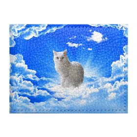 Обложка для студенческого билета с принтом Кот в облаках в Санкт-Петербурге, натуральная кожа | Размер: 11*8 см; Печать на всей внешней стороне | animals | cat | kitty | ангел | белый кот | блики | взгляд кота | глаза кота | животные | киска | кот | котейка | котенок | котик | кошак | кошка | лучи | мордочка | небесный | небо | облака | пейзаж | питомец