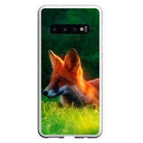 Чехол для Samsung Galaxy S10 с принтом Рыжая лиса в Санкт-Петербурге, Силикон | Область печати: задняя сторона чехла, без боковых панелей | Тематика изображения на принте: fox | foxy | животное | звери | лиса | лисенок | лисичка | милая | рыжая | фокс