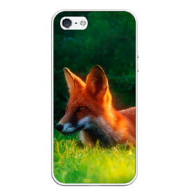 Чехол для iPhone 5/5S матовый с принтом Рыжая лиса в Санкт-Петербурге, Силикон | Область печати: задняя сторона чехла, без боковых панелей | fox | foxy | животное | звери | лиса | лисенок | лисичка | милая | рыжая | фокс