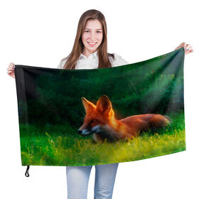 Флаг 3D с принтом Рыжая лиса в Санкт-Петербурге, 100% полиэстер | плотность ткани — 95 г/м2, размер — 67 х 109 см. Принт наносится с одной стороны | fox | foxy | животное | звери | лиса | лисенок | лисичка | милая | рыжая | фокс